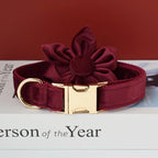 Petspuff Personalised Velvet Dog Collar with Flower or Bow & Lead – Gold Buckle, Engraved Name Tag - Petspuff