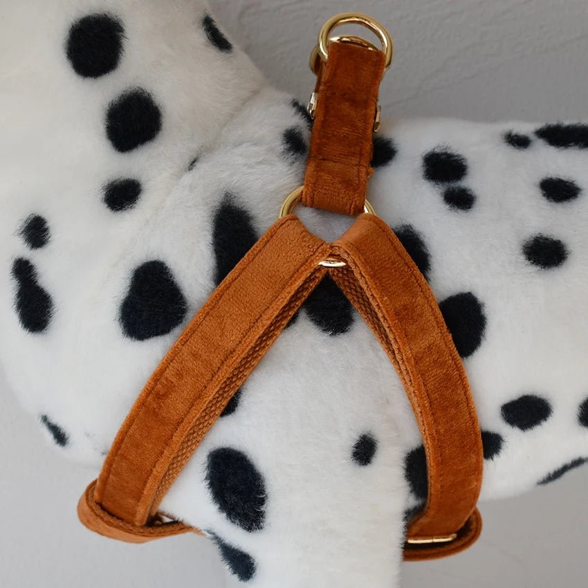 Petspuff Personalised Printed Dog Harness – Engraved ID Tag | 17 Designs, Small & Medium Dogs