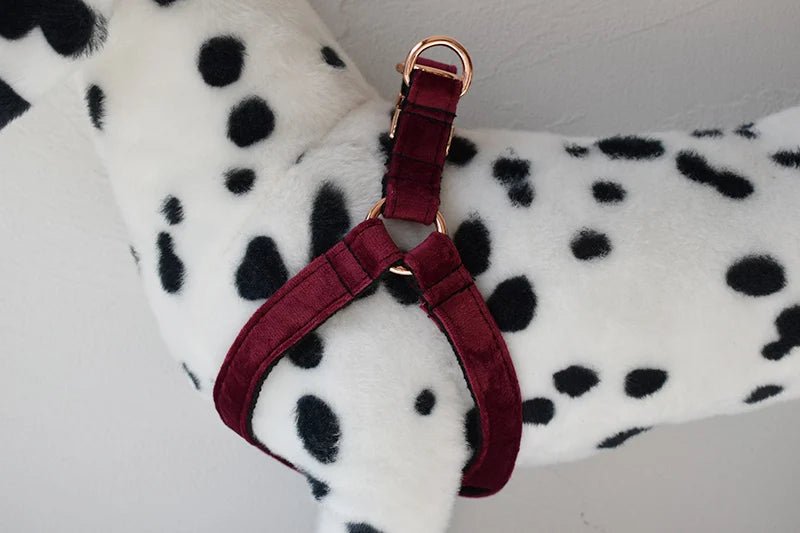 Petspuff Personalised Printed Dog Harness – Engraved ID Tag | 17 Designs, Small & Medium Dogs