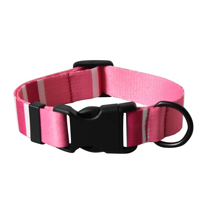 Petspuff Personalised Printed Nylon Dog Collar – Engraved Name Plate | 15 Designs, S–XL