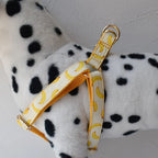 Petspuff Personalised Printed Dog Harness – Engraved ID Tag | 17 Designs, Small & Medium Dogs