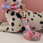 Petspuff Personalised Pink Shell Print Dog Collar & Lead – Engraved Name Tag | Medium & Large Dogs