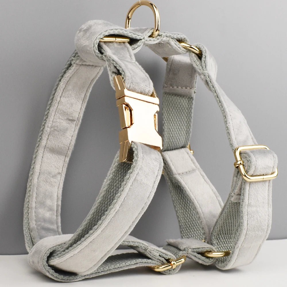 Petspuff Personalised Dog Harness & Lead Set with Poop Bag Holder – Engraved Name Tag | 19 Designs - Petspuff