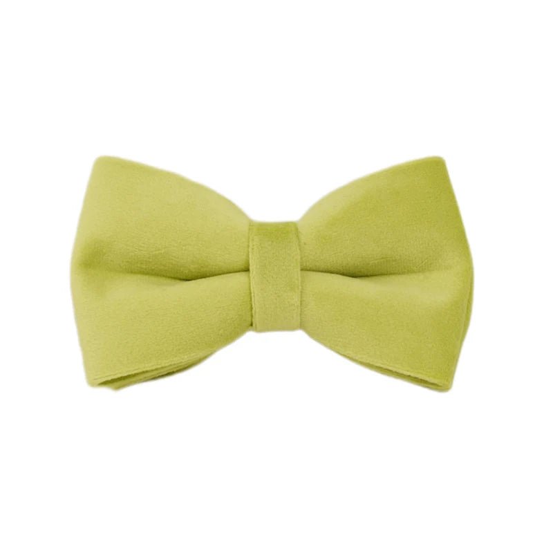 Petspuff Personalised Avocado Green Velvet Dog Collar & Lead Set – Engraved Name Tag, Bow & Harness - Petspuff