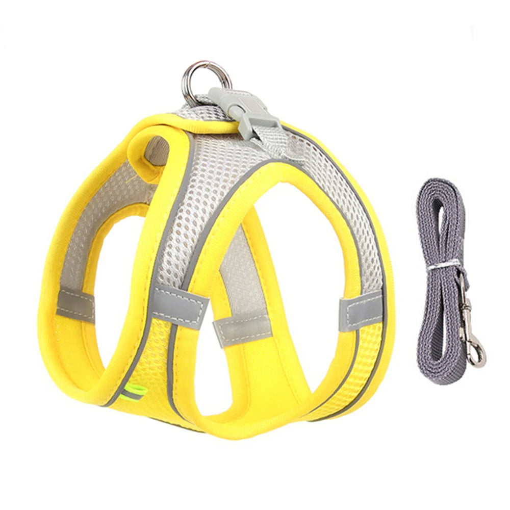 Petspuff Breathable Mesh Harness & Lead Set – Soft Vest Harness | Small Dogs, Puppies & Cats