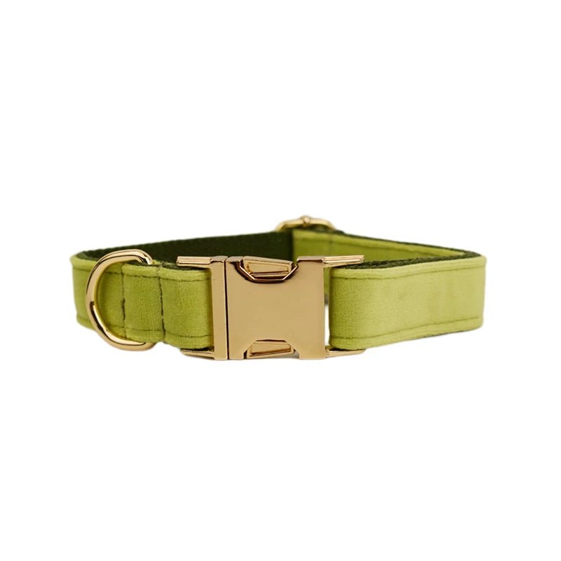 Petspuff Personalised Velvet Dog Collar with Gold Buckle, Bow Tie & Lead – Engraved Name Tag