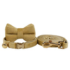 Petspuff Personalised Bow Cat Collar & Lead with Bell – Engraved ID Tag | 7 Colours
