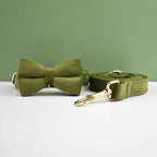 Petspuff Personalised Velvet Dog Collar with Gold Buckle, Bow Tie & Lead – Engraved Name Tag