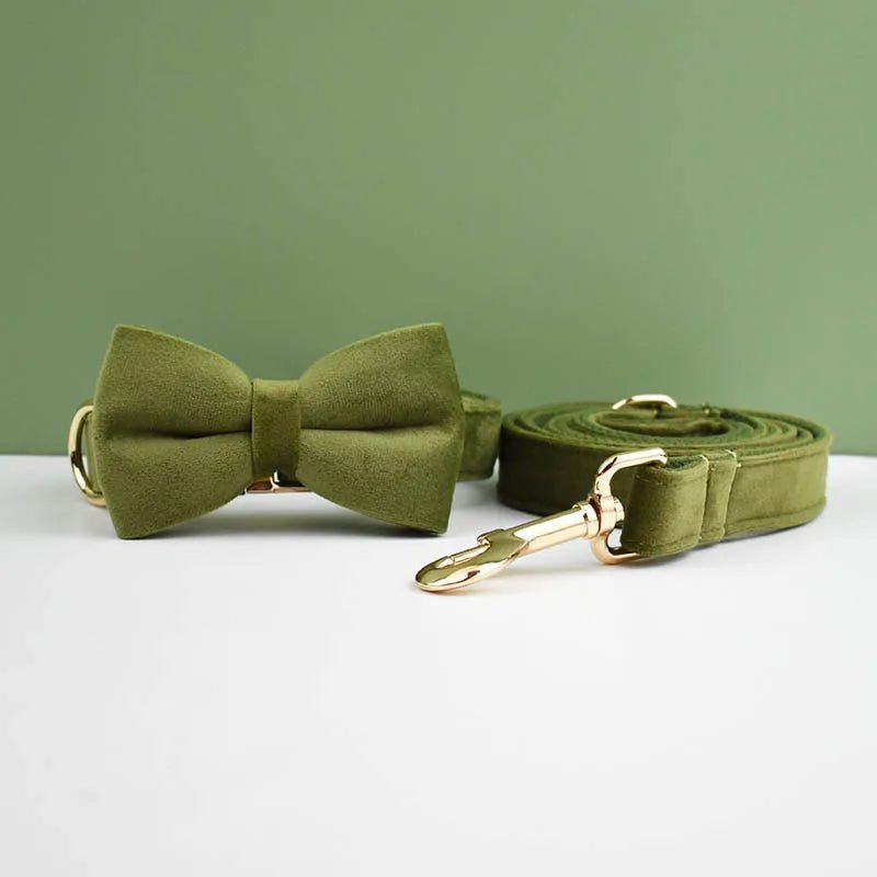 Petspuff Personalised Velvet Dog Collar with Gold Buckle, Bow Tie & Lead – Engraved Name Tag