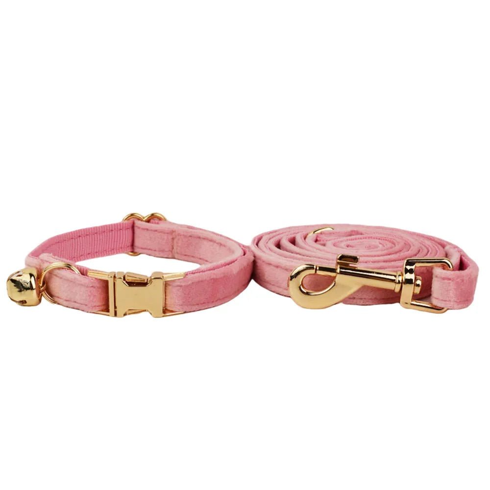 Petspuff Personalised Bow Cat Collar & Lead with Bell – Engraved ID Tag | 7 Colours