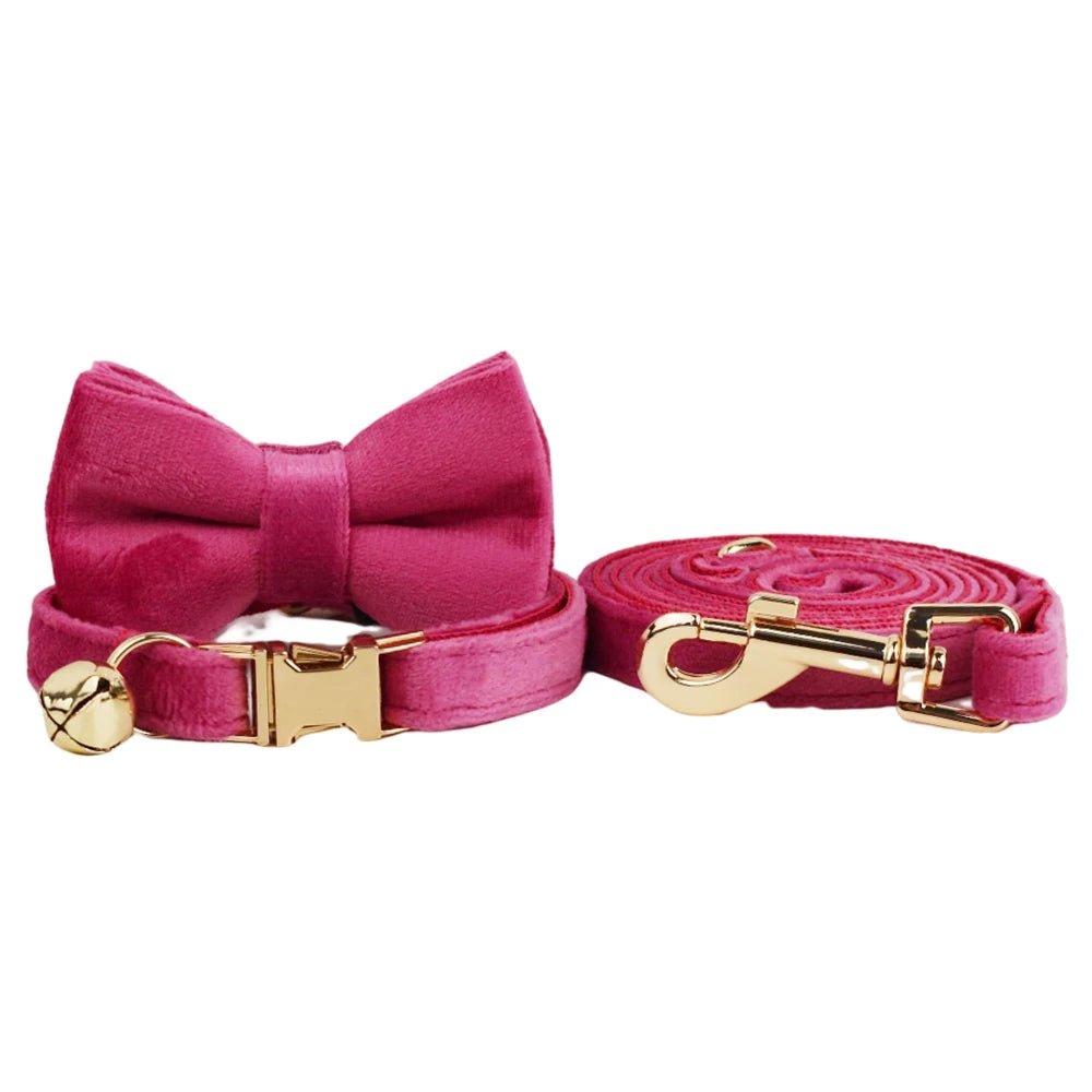 Petspuff Personalised Bow Cat Collar & Lead with Bell – Engraved ID Tag | 7 Colours