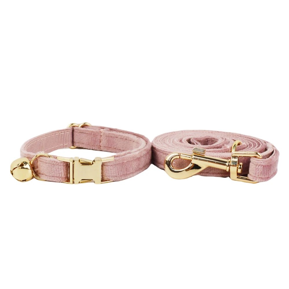 Petspuff Personalised Bow Cat Collar & Lead with Bell – Engraved ID Tag | 7 Colours