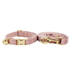 Petspuff Personalised Bow Cat Collar & Lead with Bell – Engraved ID Tag | 7 Colours