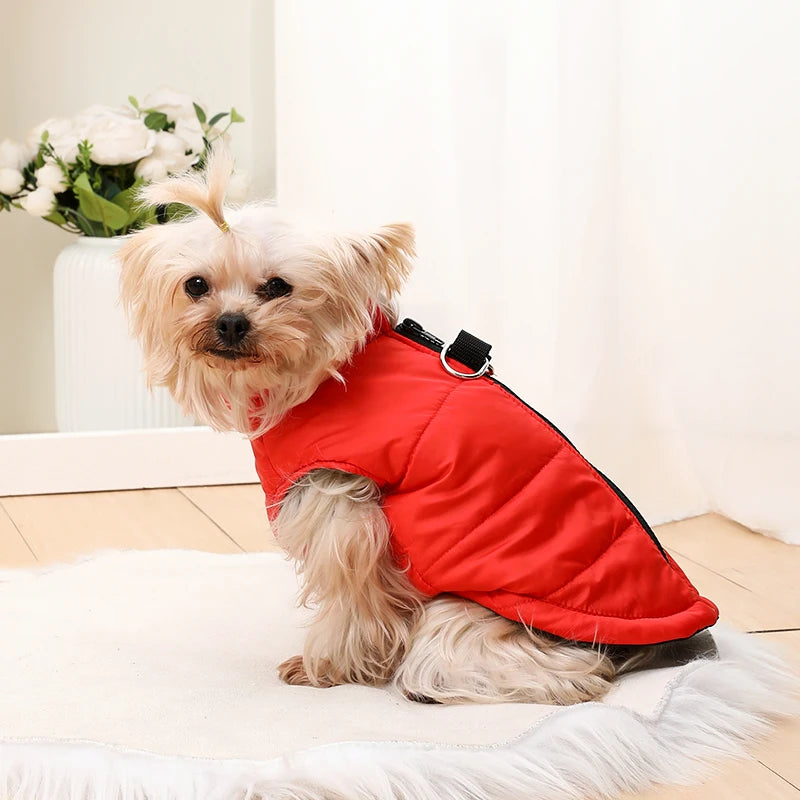 Petspuff Outdoor Camping Dog Jacket – Windproof Warm Coat with D-Ring | Small & Medium Dogs