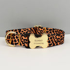 Petspuff Personalised Boho Dog Collar & Lead – Engraved Nameplate | 5 Designs, S–XL