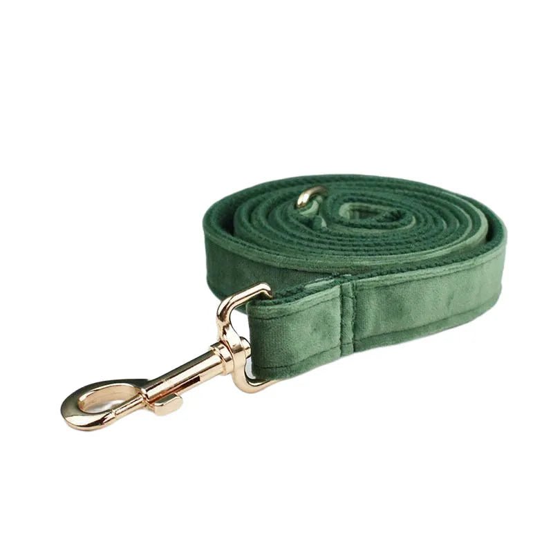Petspuff Personalised Forest Green Velvet Dog Collar & Lead Set – Engraved Name Tag, Bow & Harness - Petspuff