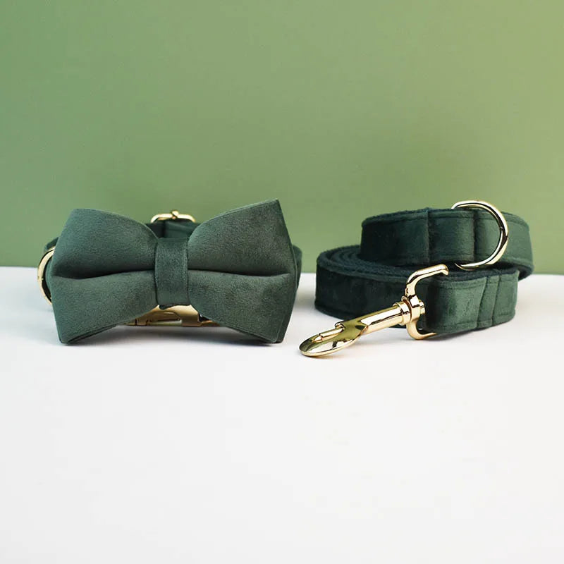 Petspuff Personalised Velvet Dog Collar with Gold Buckle, Bow Tie & Lead – Engraved Name Tag