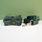 Petspuff Personalised Velvet Dog Collar with Gold Buckle, Bow Tie & Lead – Engraved Name Tag