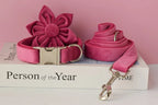 Petspuff Velvet Dog Collar & Lead with Flower or Bow – Soft & Durable for Medium & Large Dogs | S–XL