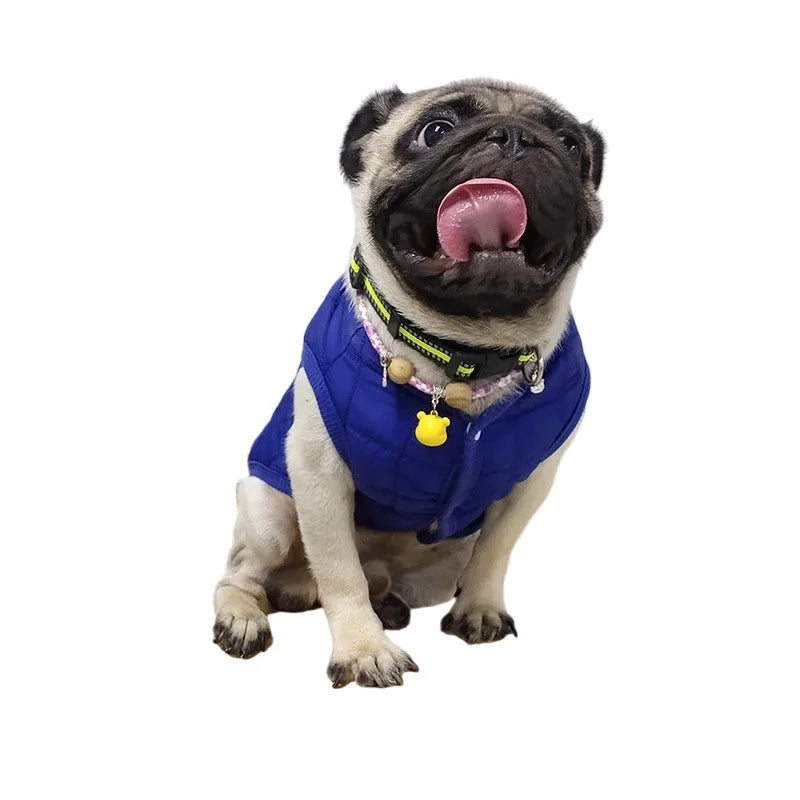 Petspuff Padded Cotton Dog Jacket – Warm Winter Coat | Small & Medium Dogs and Cats