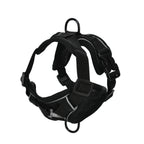 Petspuff Adjustable Mesh Vest Harness & Lead Set – Reflective Walking Set | Small Dogs & Cats