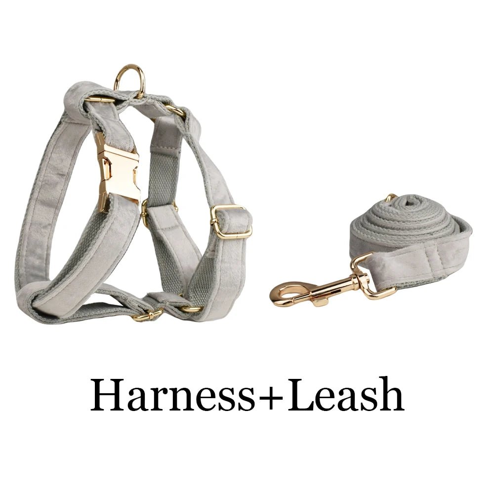 Petspuff Personalised Dog Harness & Lead Set with Poop Bag Holder – Engraved Name Tag | 19 Designs - Petspuff