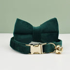 Petspuff Personalised Velvet Cat Collar with Bow & Bell – Engraved Name Tag | Kittens & Cats - Petspuff
