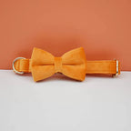 Petspuff Personalised Velvet Dog Collar with Gold Buckle, Bow Tie & Lead – Engraved Name Tag