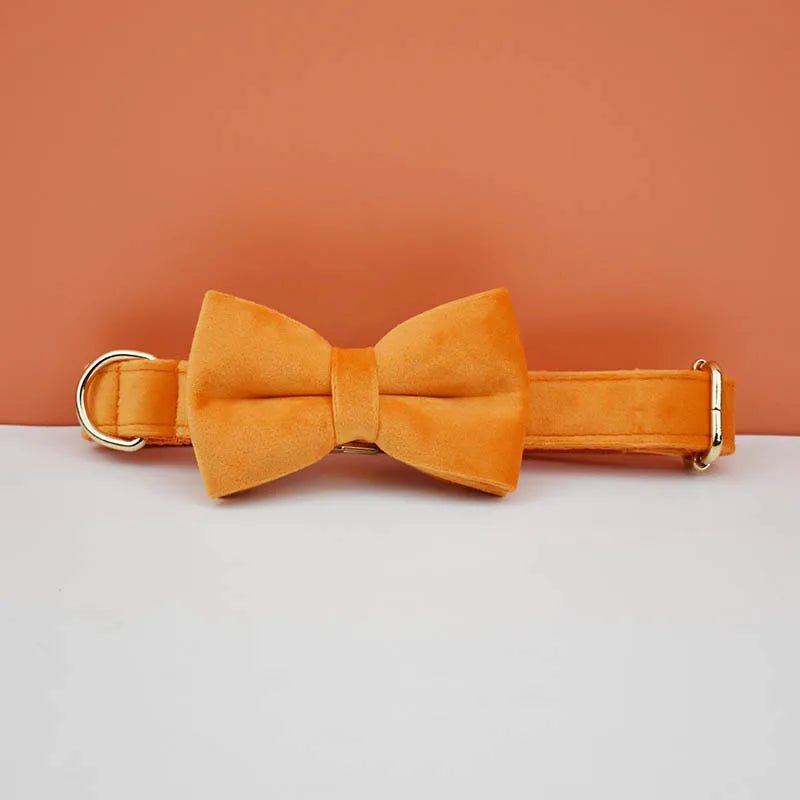 Petspuff Personalised Velvet Dog Collar with Gold Buckle, Bow Tie & Lead – Engraved Name Tag
