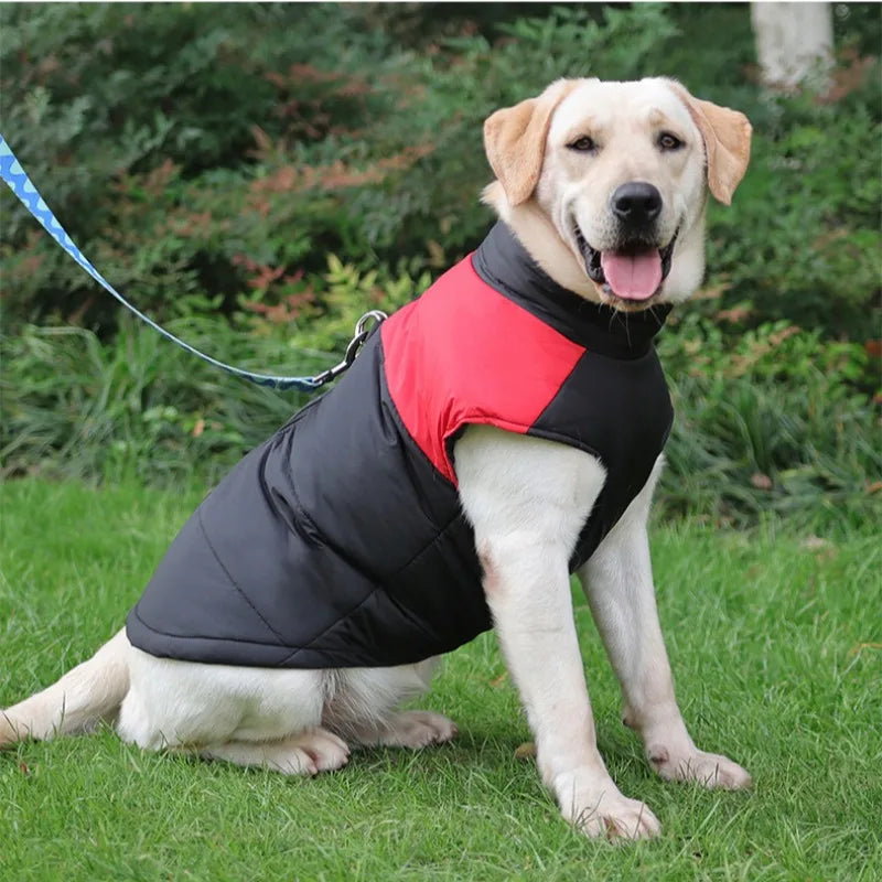 Petspuff Padded Winter Dog Jacket – Windproof Puffer Vest with Lead Rings | Small to Large Dogs