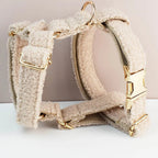 Petspuff Personalised Teddy Velvet Dog Collar & Lead Set – Engraved Name Tag, Bow & Harness