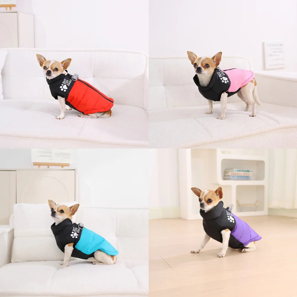 Petspuff Windproof Zip Dog Jacket – Water-Resistant Printed Coat with D-Ring | Small & Medium Dogs