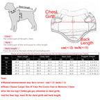 Petspuff Fleece-Lined Dog Vest with D-Ring – Warm Winter Jacket | Small & Medium Dogs