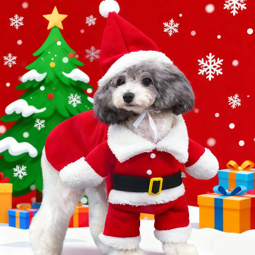 Petspuff Santa Claus Dog Costume with Hat – Funny Christmas Outfit | Small Dogs & Cats