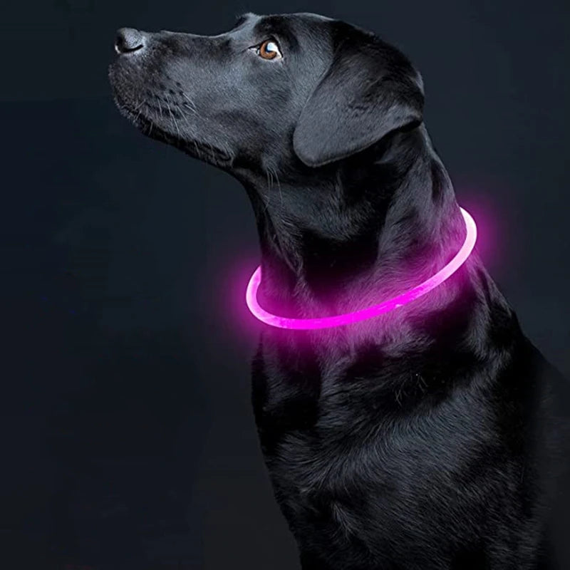 Petspuff USB Rechargeable LED Dog Collar – Glow Safety Light for Night Walks | Cut to Fit