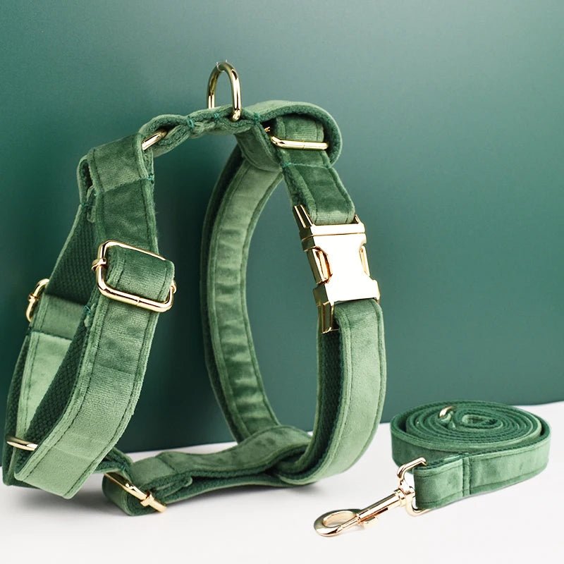 Petspuff Personalised Dog Harness & Lead Set with Poop Bag Holder – Engraved Name Tag | 19 Designs - Petspuff