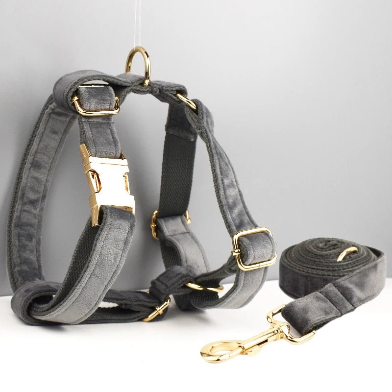 Petspuff Personalised Dog Harness & Lead Set with Poop Bag Holder – Engraved Name Tag | 19 Designs - Petspuff