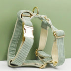Petspuff Personalised Light Green Corduroy Dog Collar & Lead Set – Engraved Name Tag, Bow & Harness