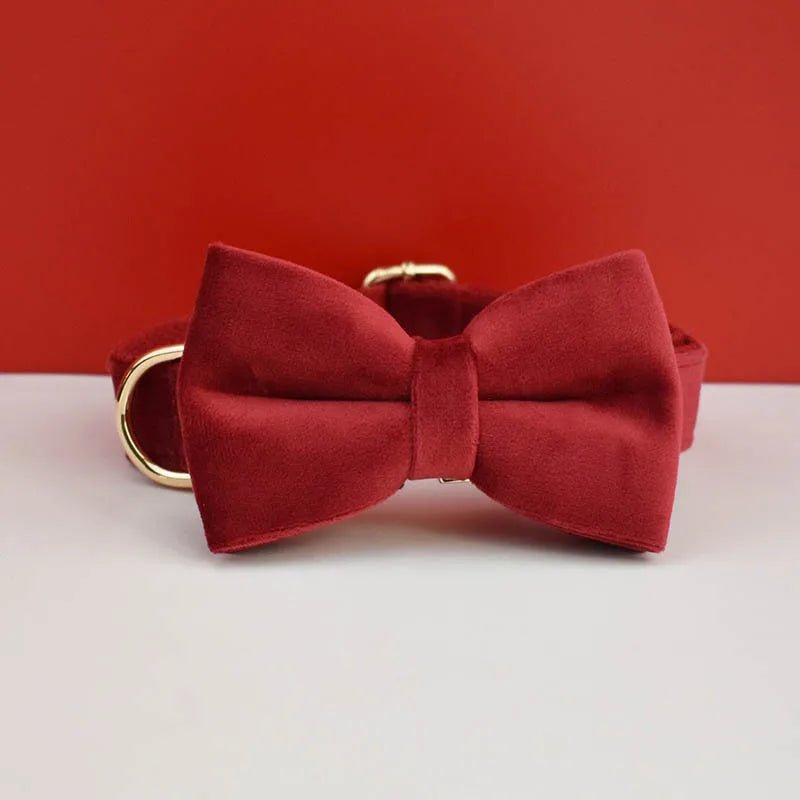 Petspuff Personalised Cherry Red Velvet Dog Collar & Lead Set – Engraved Name Tag, Bow & Harness - Petspuff