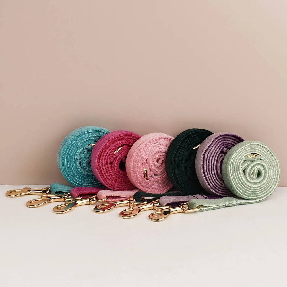 Petspuff Personalised Bow Cat Collar & Lead with Bell – Engraved ID Tag | 7 Colours