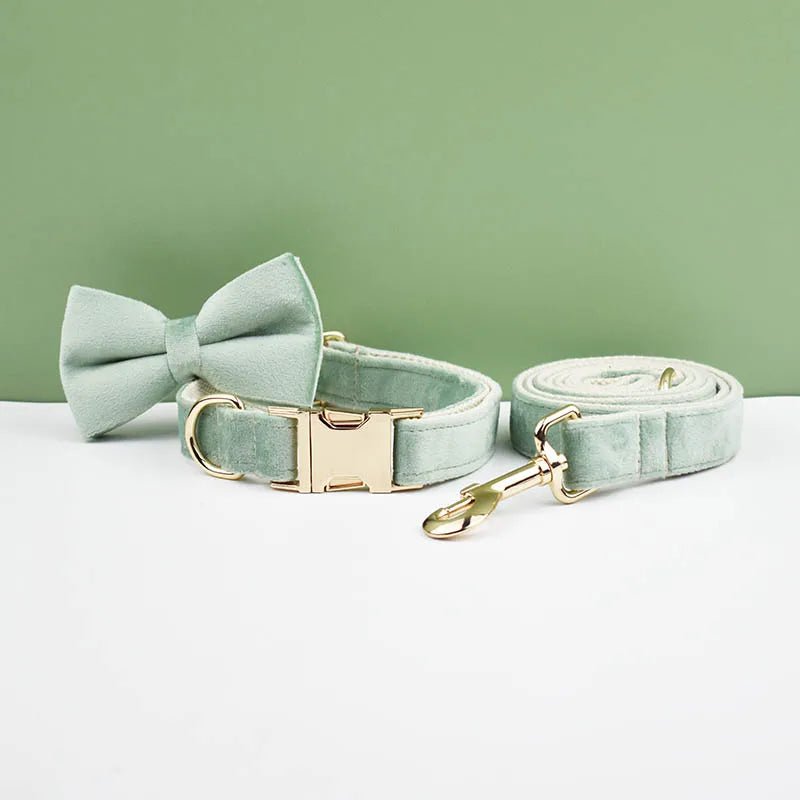 Petspuff Personalised Velvet Dog Collar with Gold Buckle, Bow Tie & Lead – Engraved Name Tag