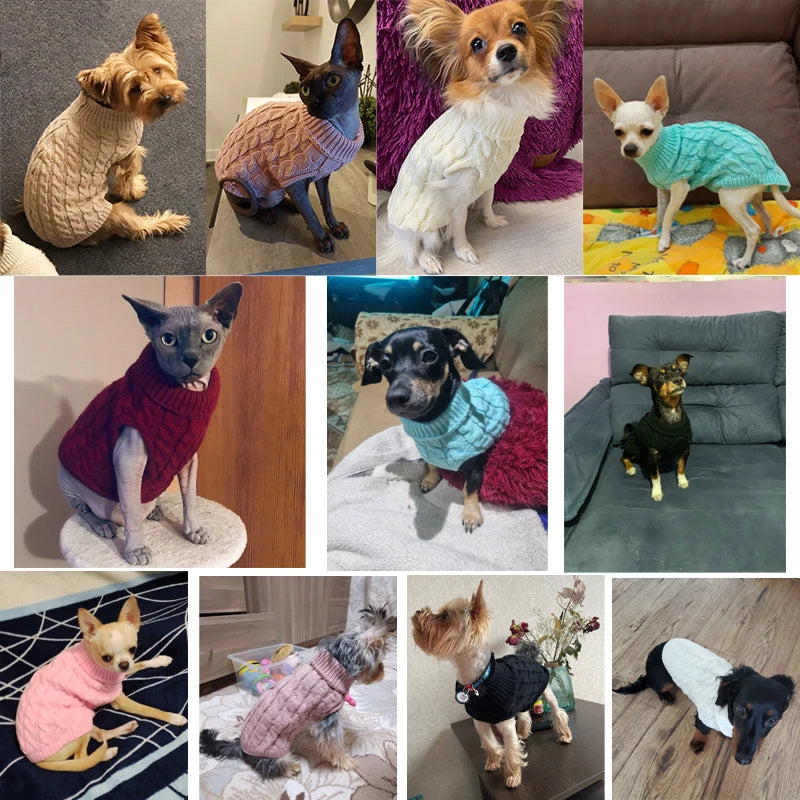Petspuff Classic Turtleneck Knitted Dog Jumper – Warm Winter Sweater | Small Dogs & Cats