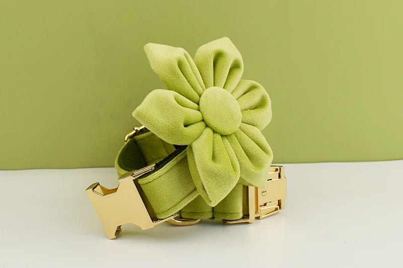 Petspuff Personalised Avocado Green Velvet Dog Collar & Lead Set – Engraved Name Tag, Bow & Harness - Petspuff