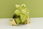 Petspuff Personalised Avocado Green Velvet Dog Collar & Lead Set – Engraved Name Tag, Bow & Harness - Petspuff