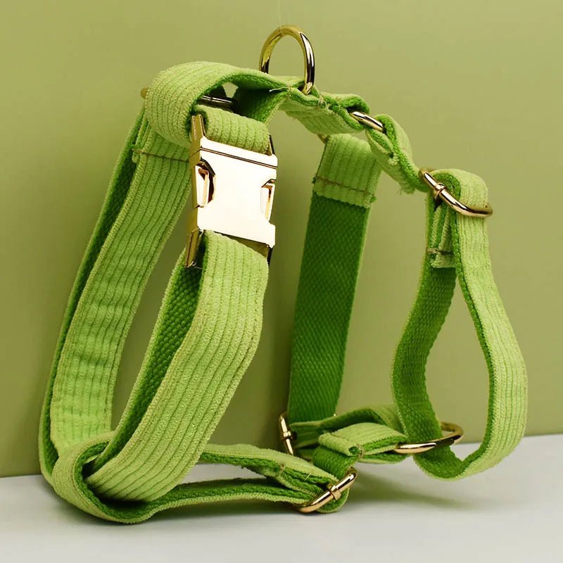 Petspuff Personalised Apple Green Corduroy Dog Collar & Lead Set – Engraved Name Tag, Bow & Harness