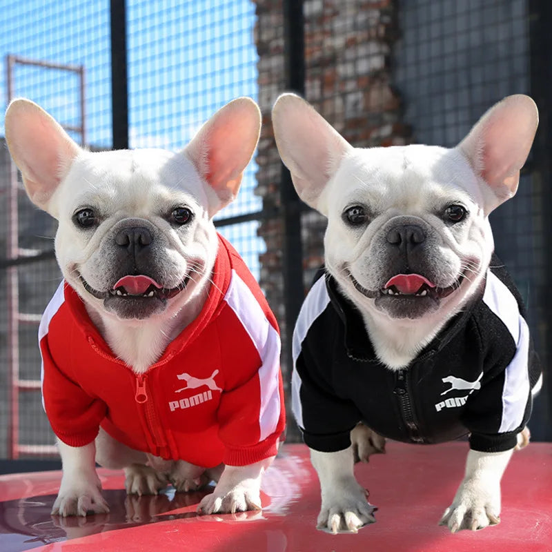 Petspuff Baseball Varsity Dog Jacket – Warm Winter Coat | Small & Medium Dogs