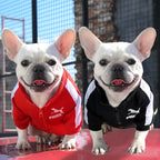 Petspuff Baseball Varsity Dog Jacket – Warm Winter Coat | Small & Medium Dogs