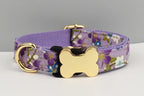 Petspuff Personalised Dog Collar with Engraved Bone Nameplate – Anti-Lost ID Collar | 14 Designs - Petspuff
