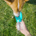 Petspuff Lightweight Pet Water Bottle 300ml – Portable Drinking Bowl | Dogs & Cats