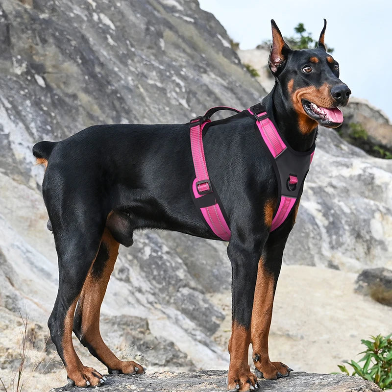 Petspuff Reflective Padded Dog Harness – Adjustable Vest Harness | Medium & Large Dogs